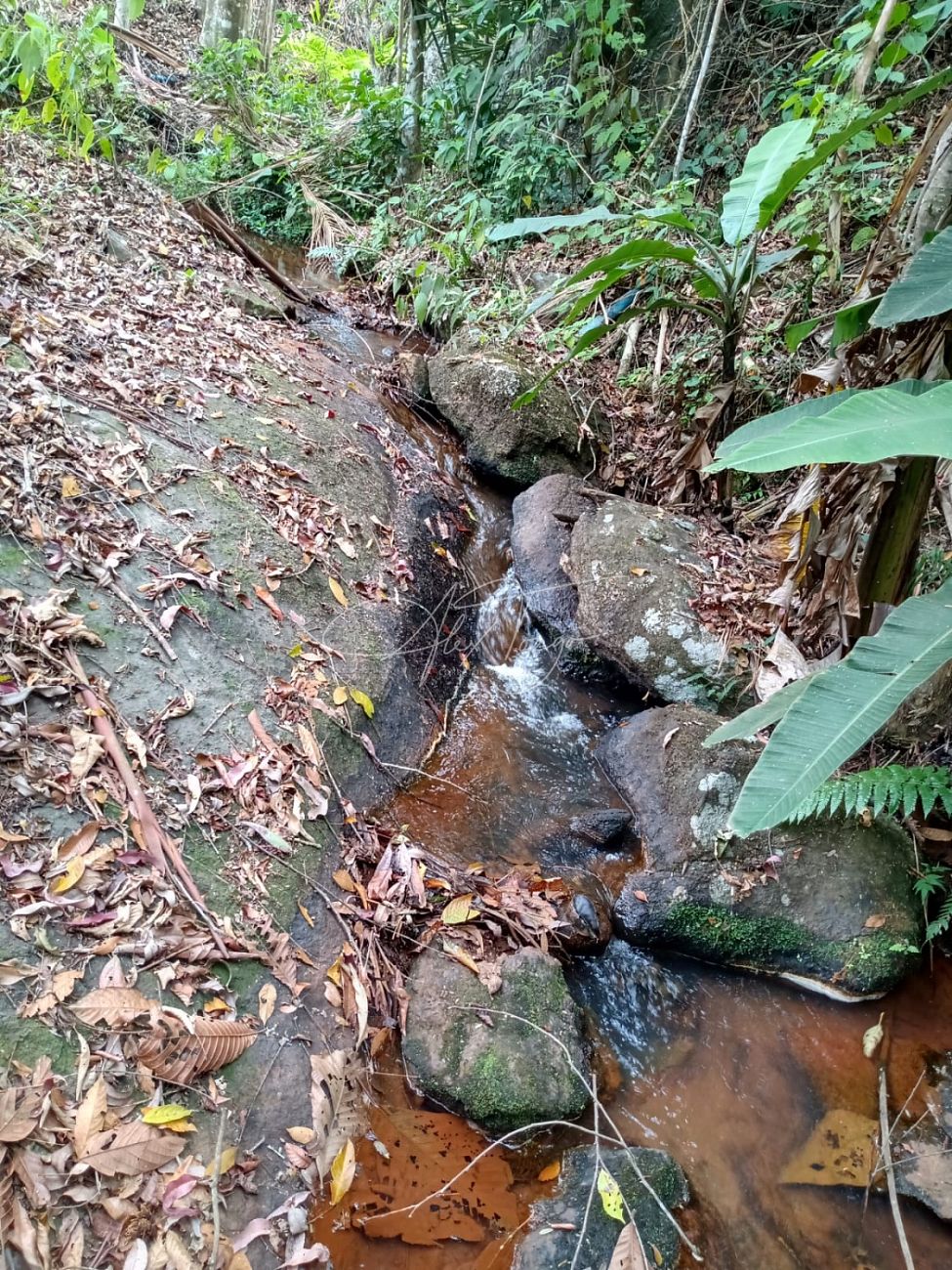 Fazenda à venda, 3000m² - Foto 11