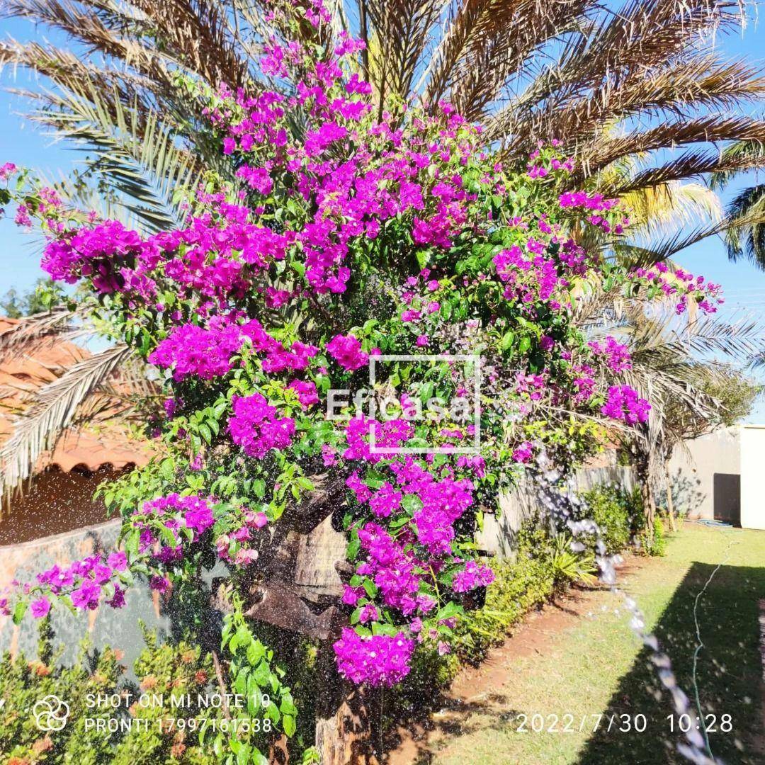 Fazenda à venda com 4 quartos, 900M2 - Foto 30