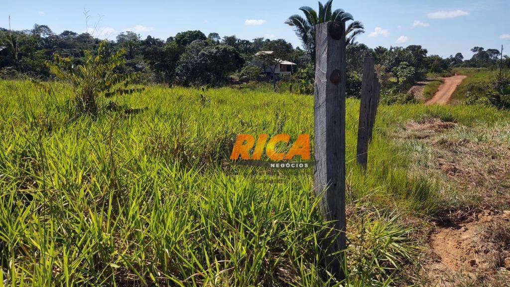 Fazenda à venda com 2 quartos, 1110000M2 - Foto 24