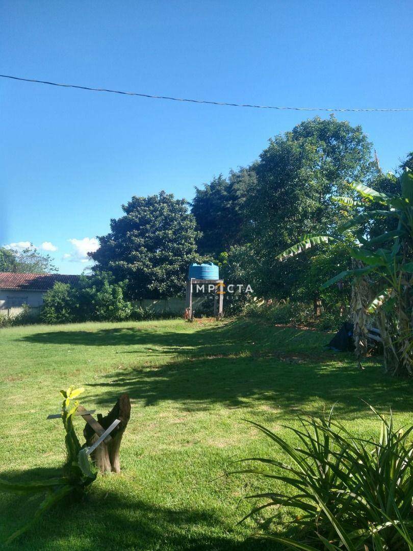 Chácara, 3 quartos, 3000 m² - Foto 2