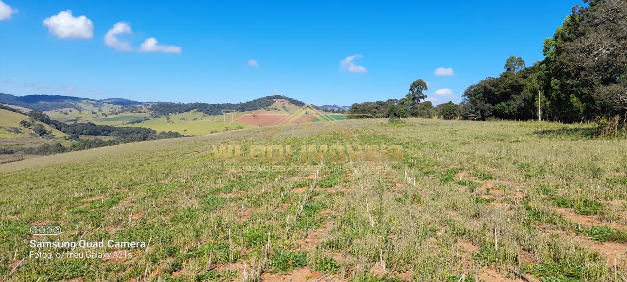 Fazenda à venda, 4m² - Foto 4