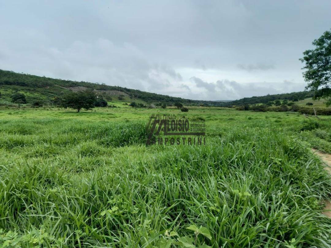 Fazenda à venda, 60984000M2 - Foto 7