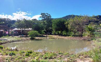 Fazenda à venda com 3 quartos, 160000m² - Foto 15