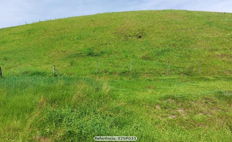 Fazenda à venda com 1 quarto, 80000m² - Foto 7