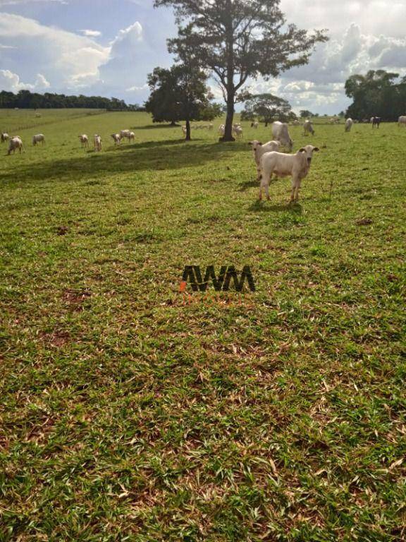 Fazenda à venda, 1597200M2 - Foto 6