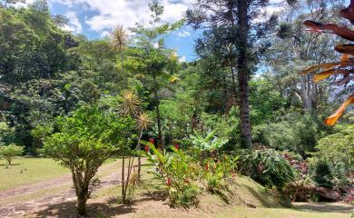 Fazenda à venda com 3 quartos, 100000m² - Foto 16