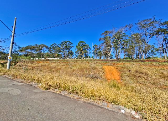 Terreno à venda, 1000m² - Foto 6