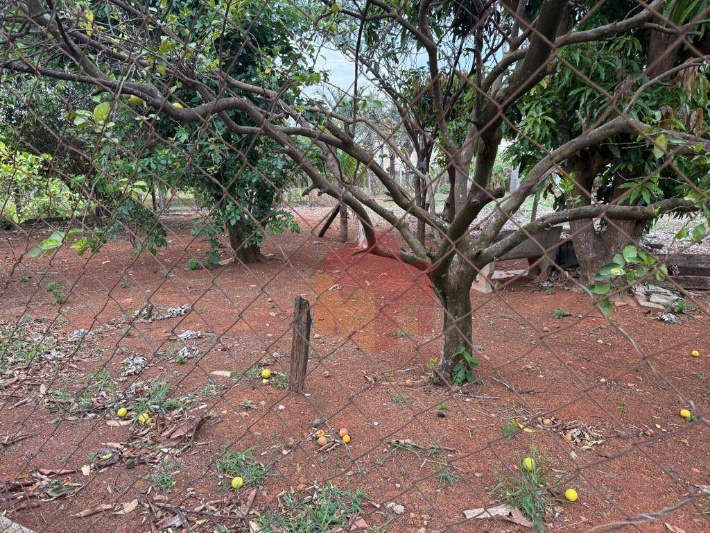 Terreno, 1100 m² - Foto 3