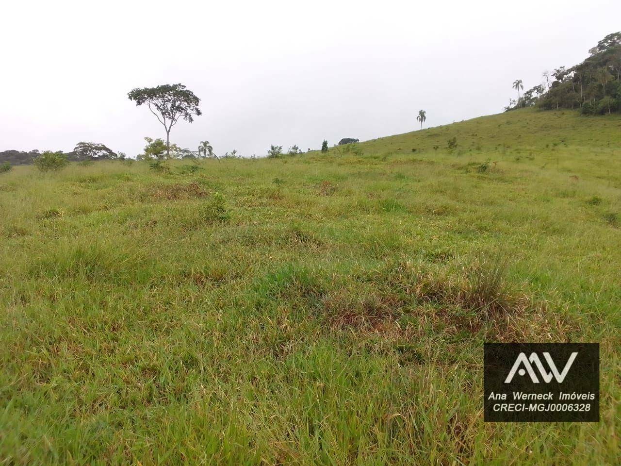 Chácara à venda com 1 quarto, 150000M2 - Foto 15