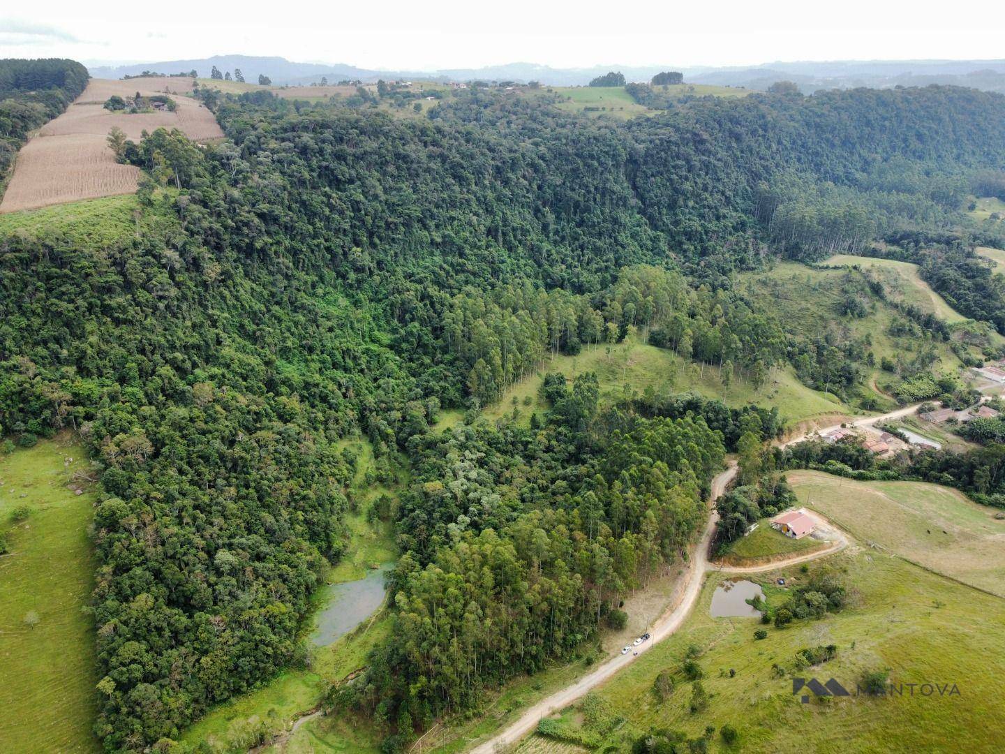 Sítio à venda, 87500M2 - Foto 2