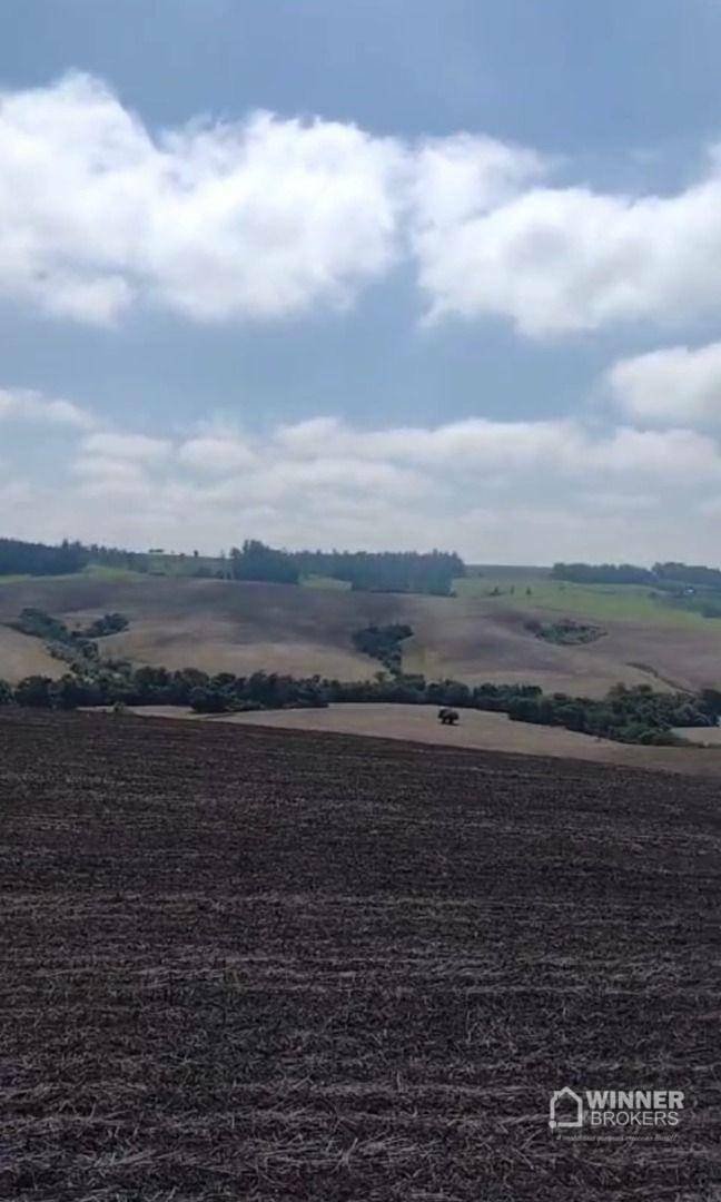 Fazenda à venda com 3 quartos, 3920000M2 - Foto 10