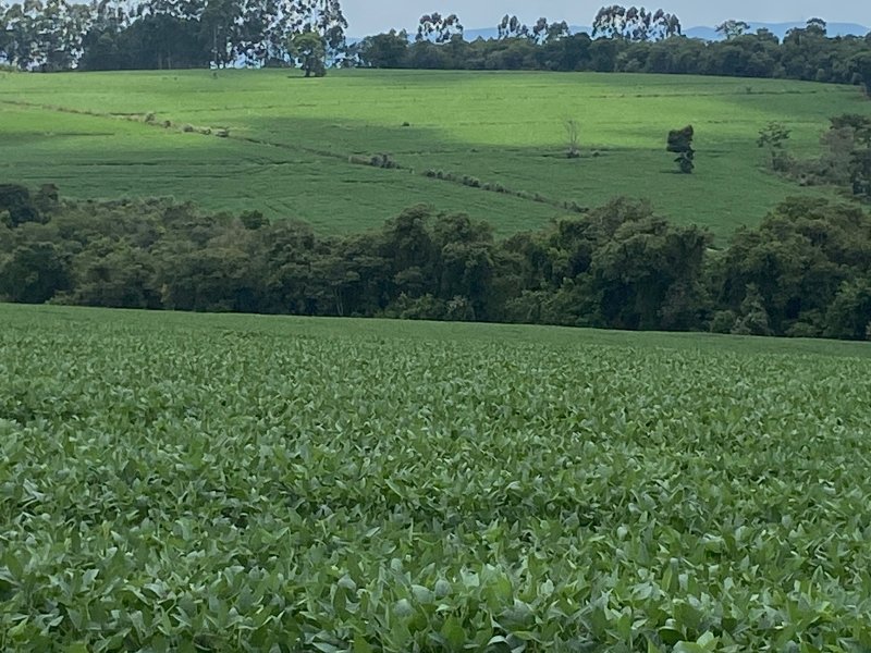 Fazenda à venda, 140m² - Foto 1