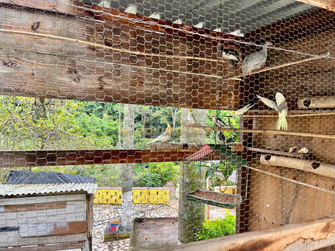 Chácara à venda com 6 quartos, 5000m² - Foto 20