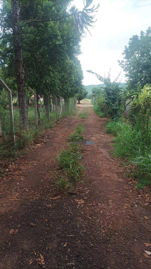 Terreno, 3000 m² - Foto 3