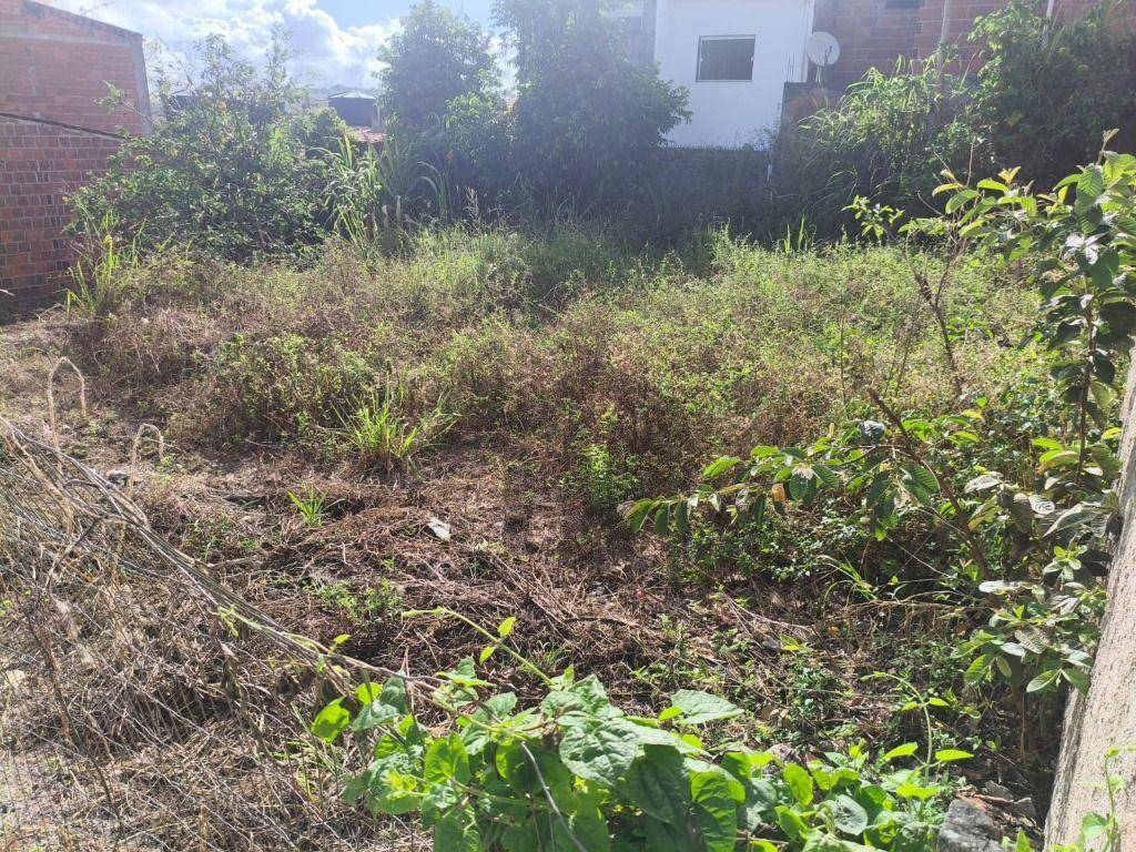 Terreno, 270 m² - Foto 4