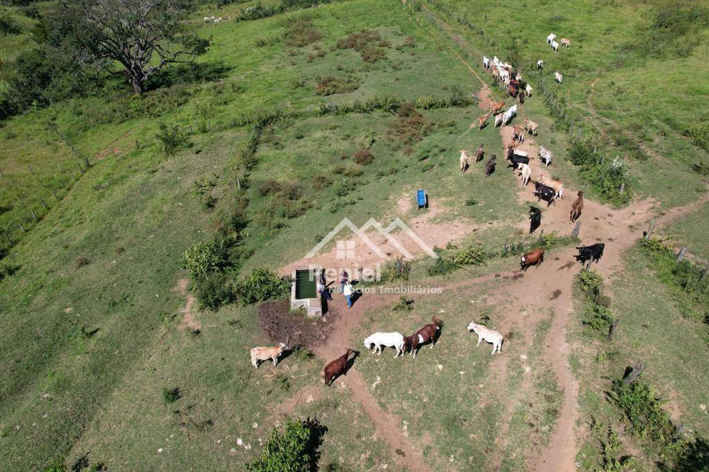 Fazenda à venda, 500m² - Foto 7