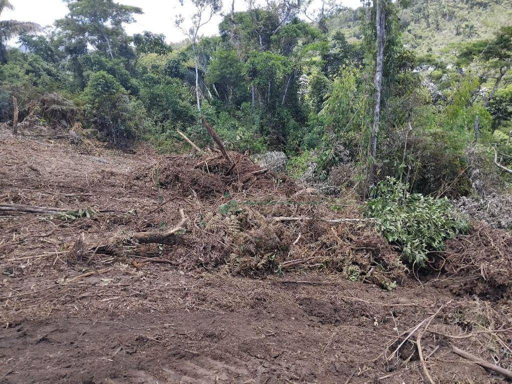 Terreno à venda, 23400M2 - Foto 8