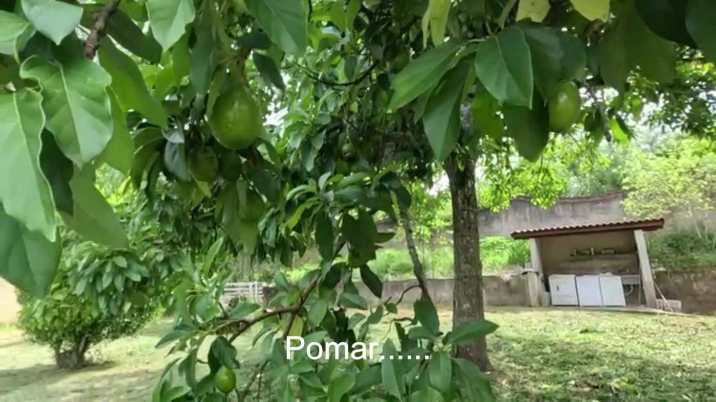 Casa de Condomínio à venda com 6 quartos, 9800m² - Foto 29
