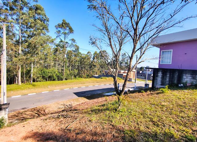 Terreno à venda, 526m² - Foto 5