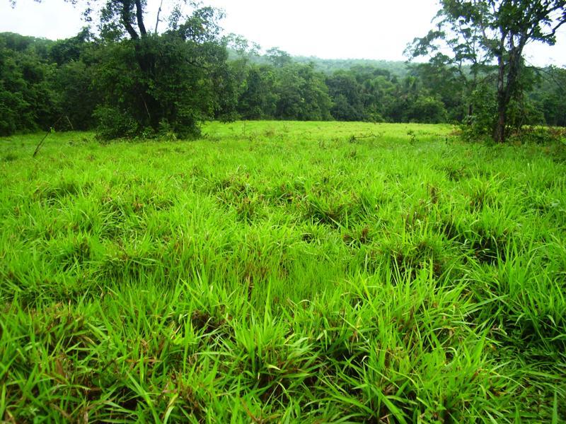 Fazenda à venda - Foto 14