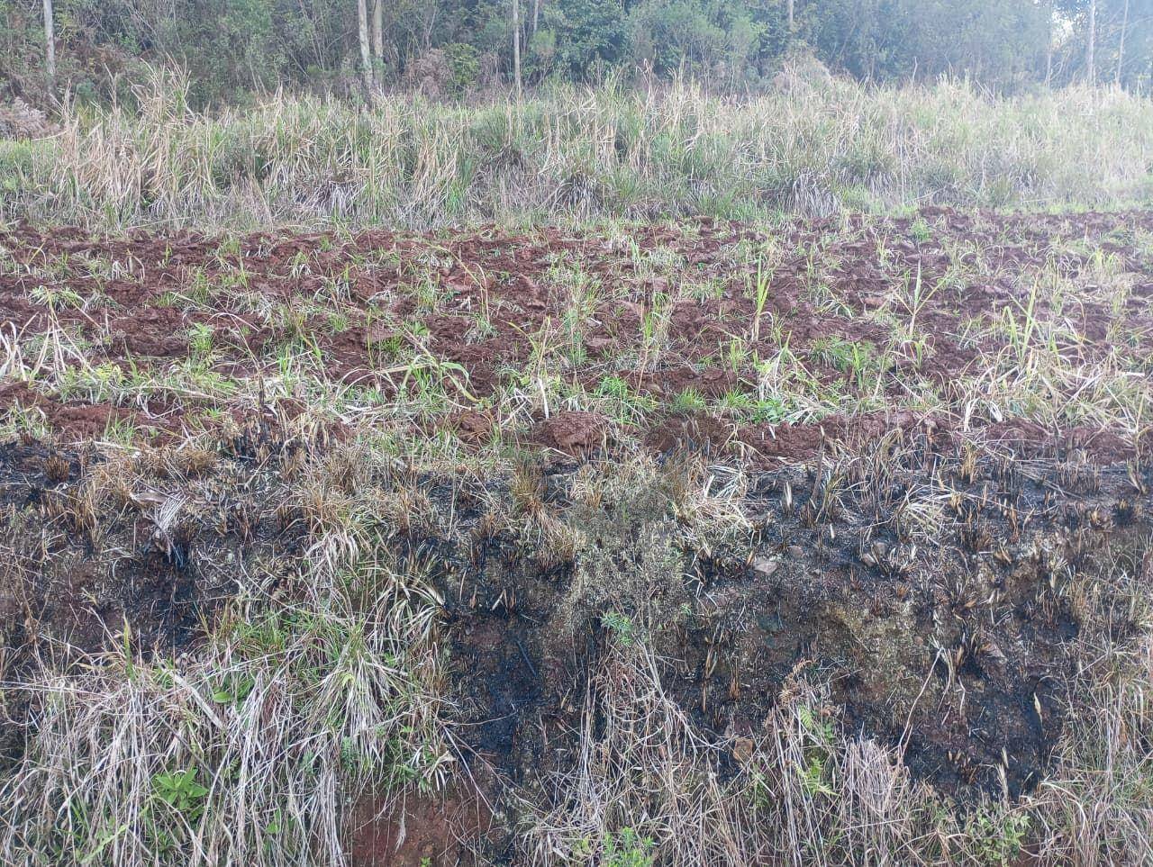 Chácara, 4 hectares - Foto 9