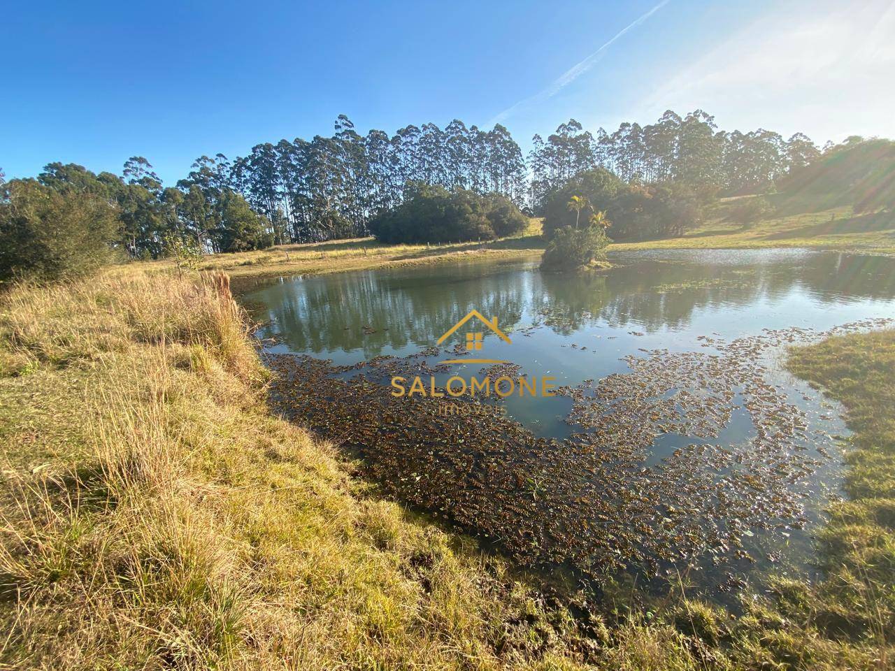 Sítio, 13 hectares - Foto 10