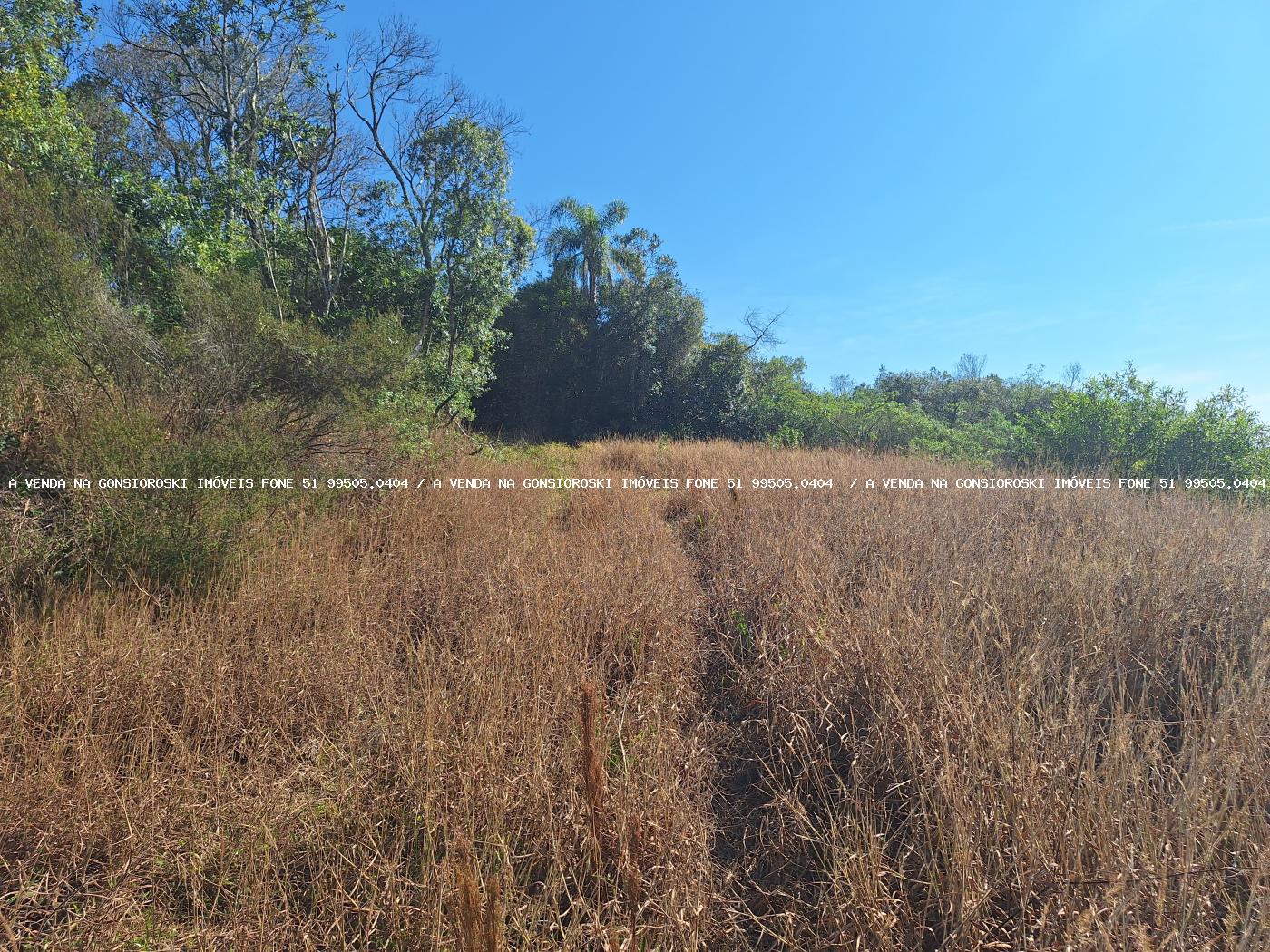 Loteamento e Condomínio à venda, 50000m² - Foto 5