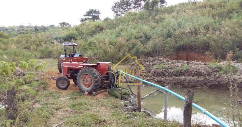 Fazenda à venda com 3 quartos, 1000m² - Foto 35