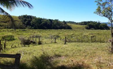 Fazenda à venda com 2 quartos, 210000m² - Foto 20