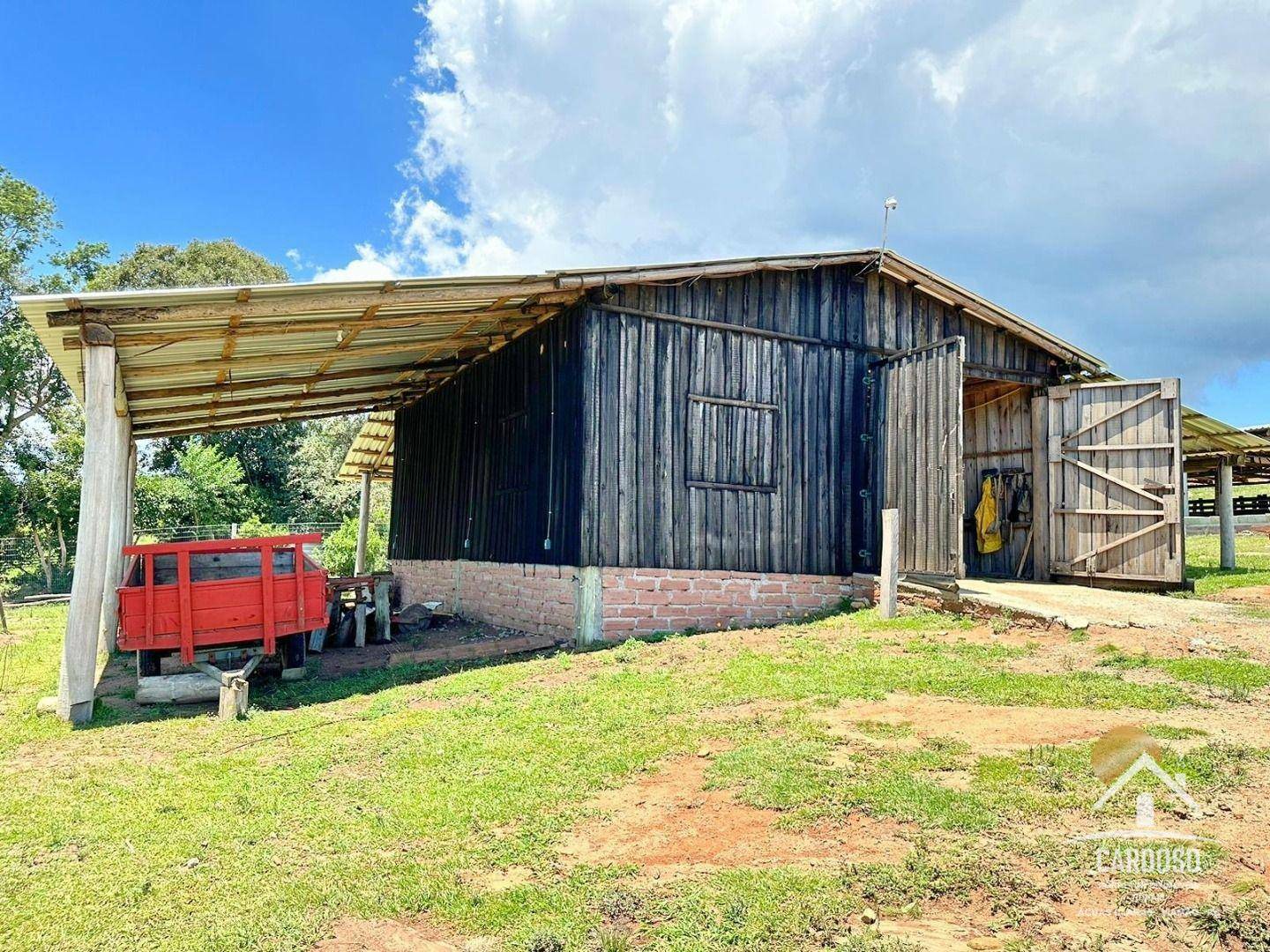 Fazenda à venda com 3 quartos, 1065000M2 - Foto 10