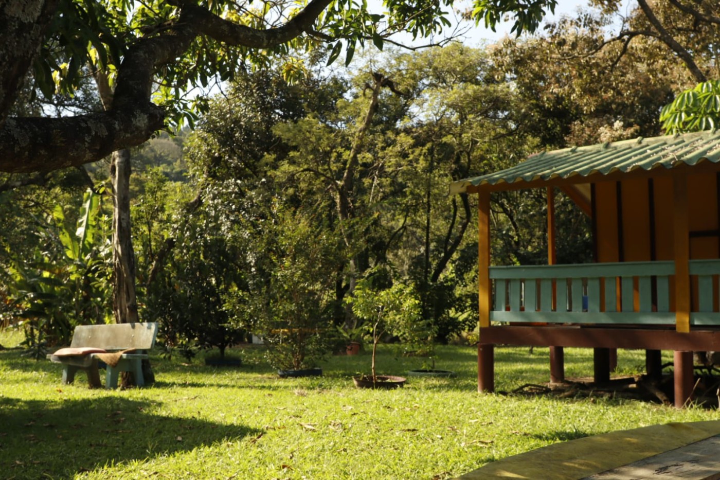 Chácara à venda com 4 quartos, 3500m² - Foto 24