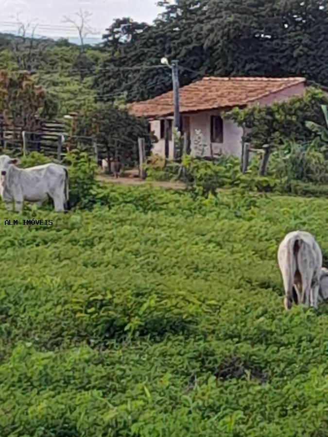 Fazenda à venda, 100m² - Foto 1