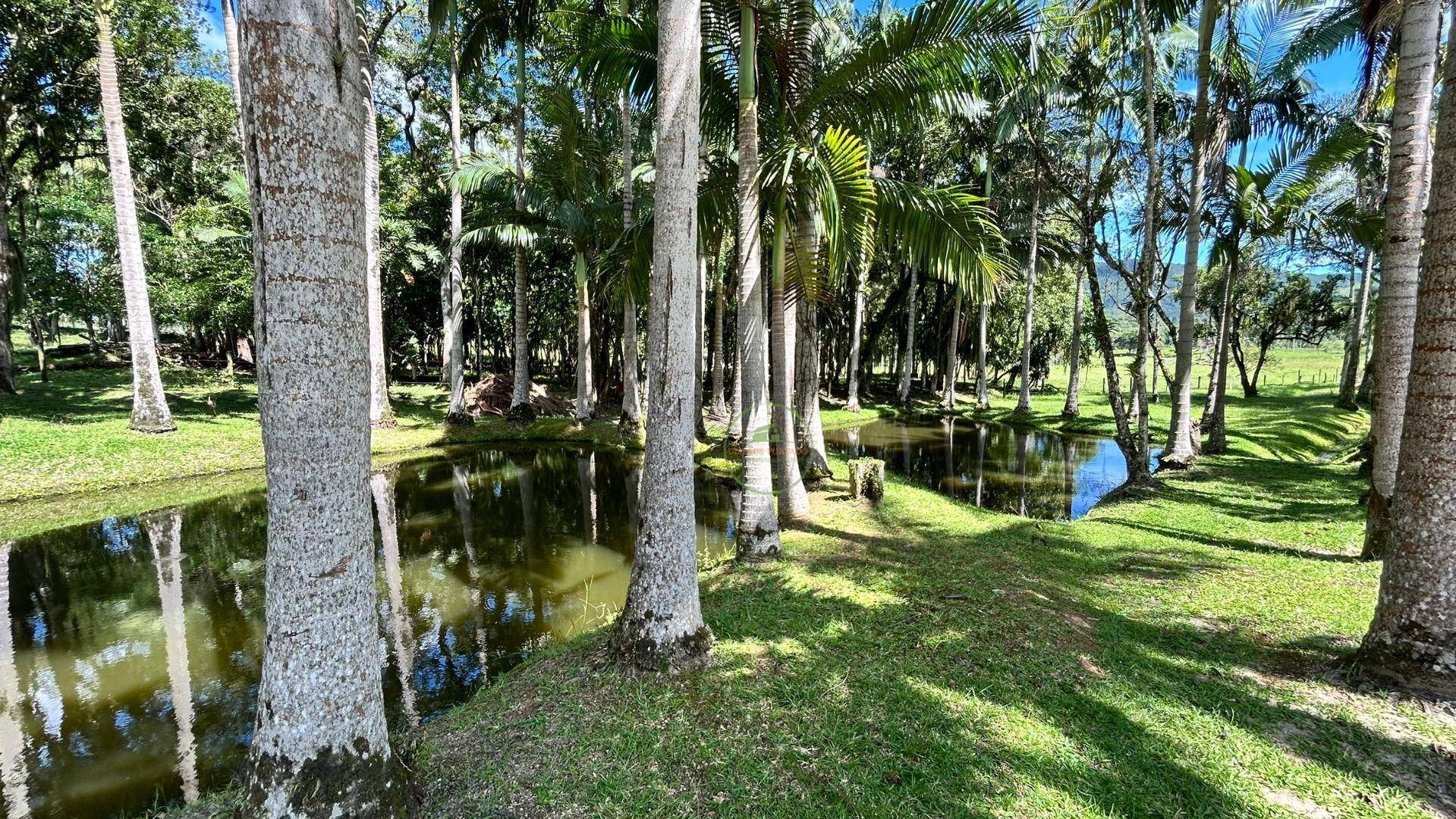 Chácara, 2 hectares - Foto 89