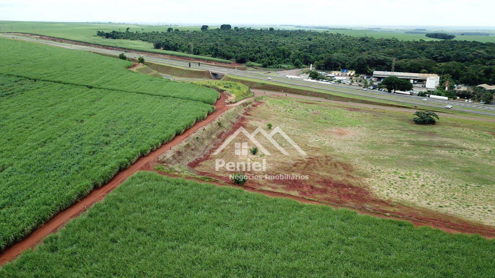 Terreno, 7 hectares - Foto 4