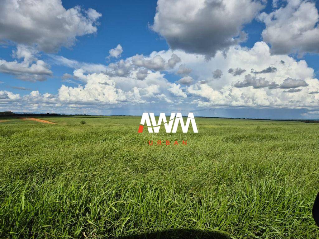 Fazenda, 4365 hectares - Foto 5