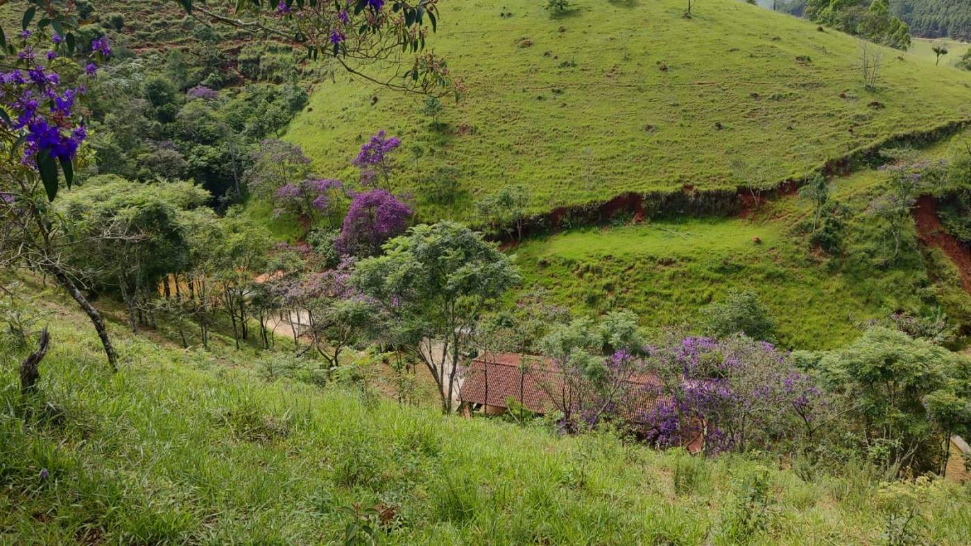 Terreno, 7 hectares - Foto 19