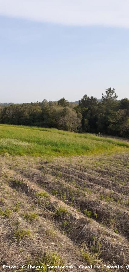 Loteamento e Condomínio à venda, 50000m² - Foto 11