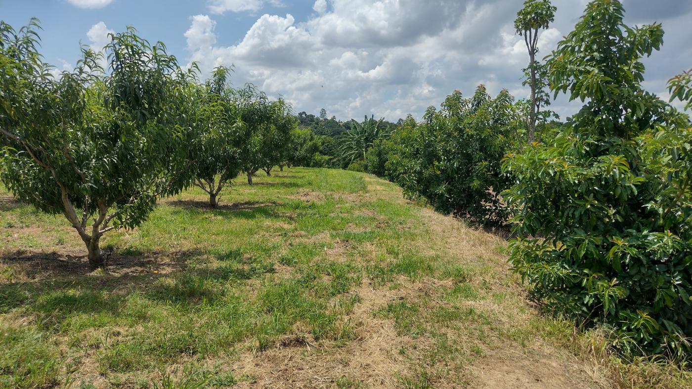 Fazenda à venda, 50000m² - Foto 25