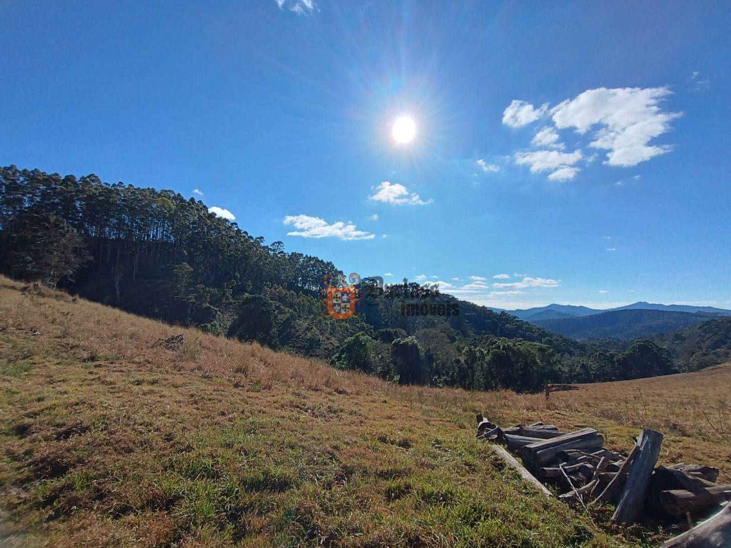 Terreno, 15 hectares - Foto 16