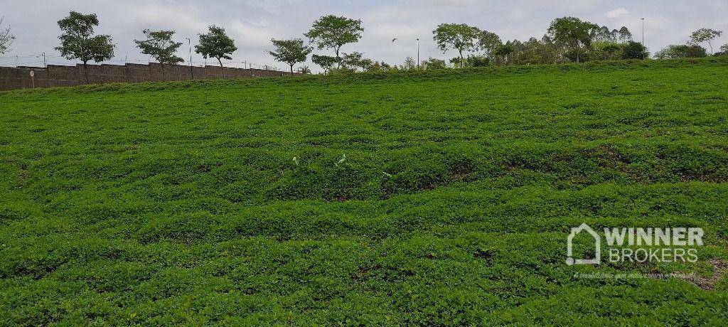 Loteamento e Condomínio à venda, 500M2 - Foto 3