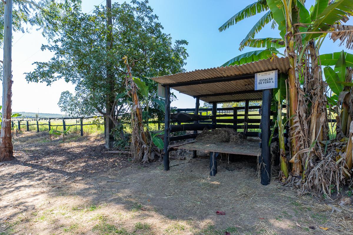 Fazenda à venda com 3 quartos, 133100m² - Foto 16