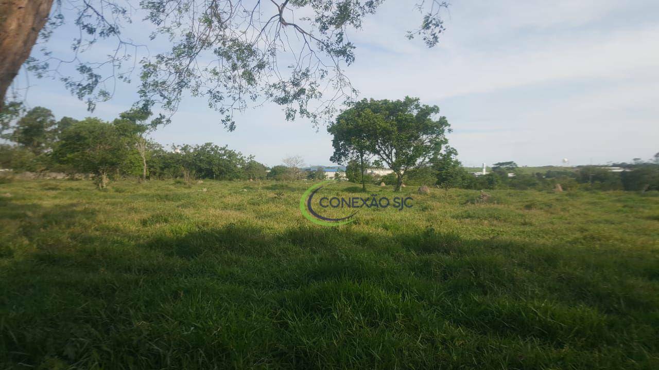 Terreno, 6 hectares - Foto 4