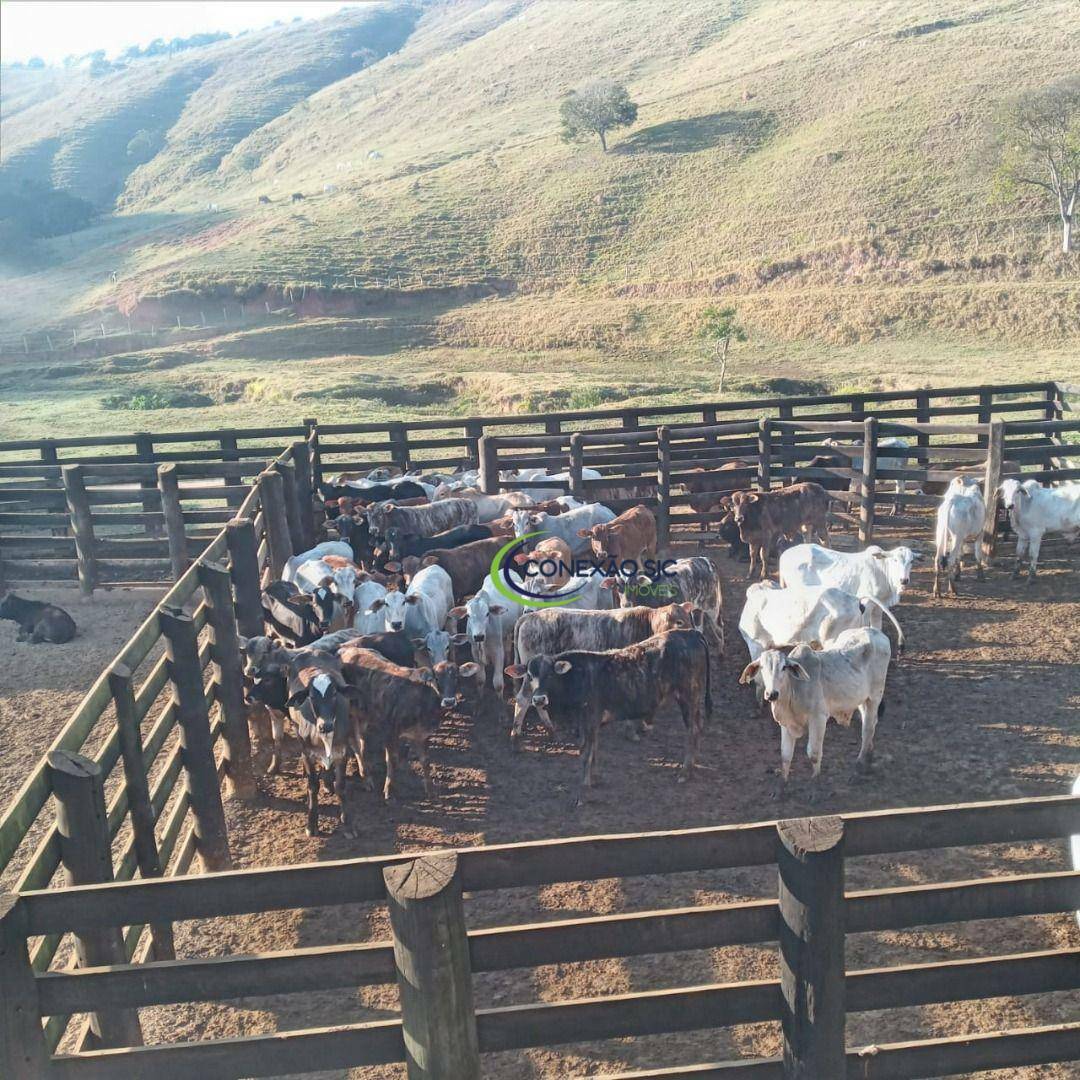 Fazenda à venda com 3 quartos, 3388000M2 - Foto 1