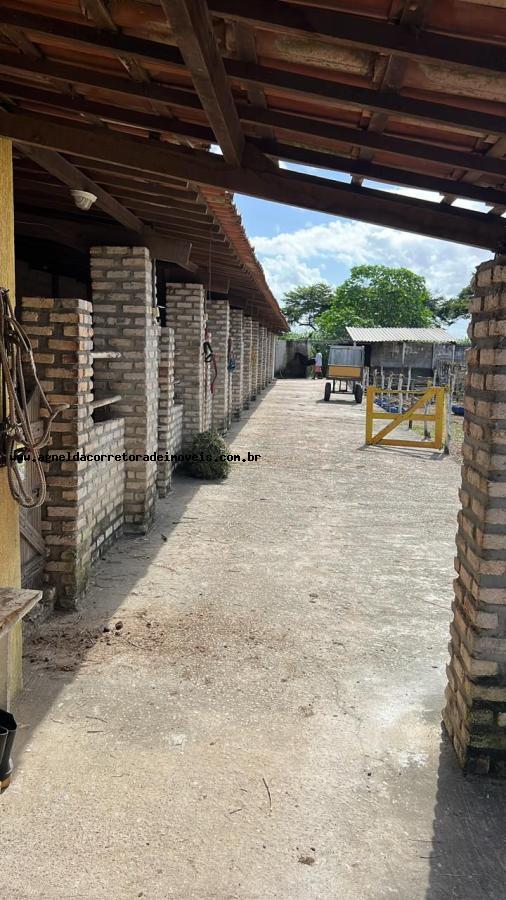 Fazenda à venda com 2 quartos, 6300m² - Foto 14