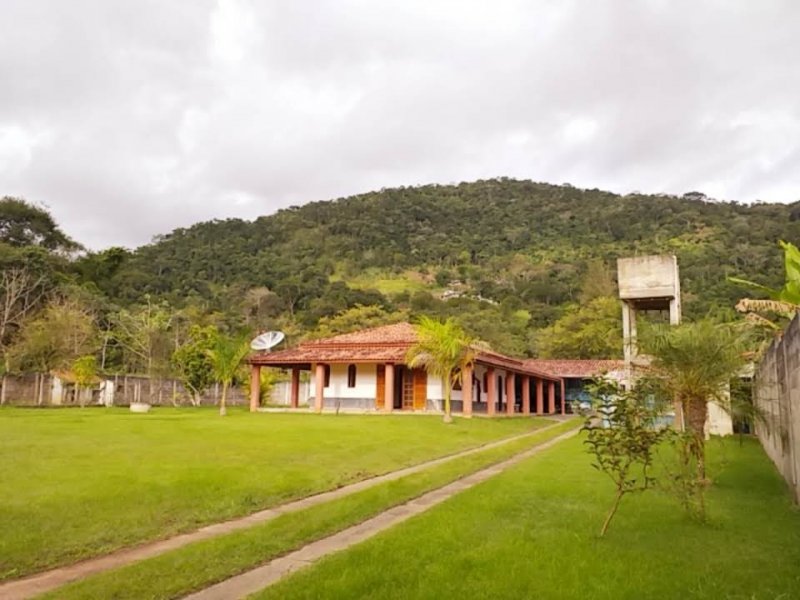 Fazenda à venda com 2 quartos, 608m² - Foto 21