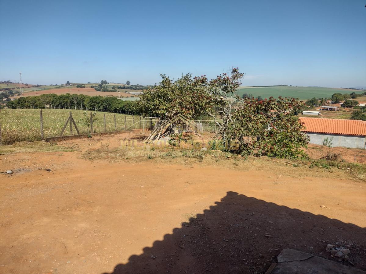 Fazenda à venda com 4 quartos, 4300m² - Foto 29