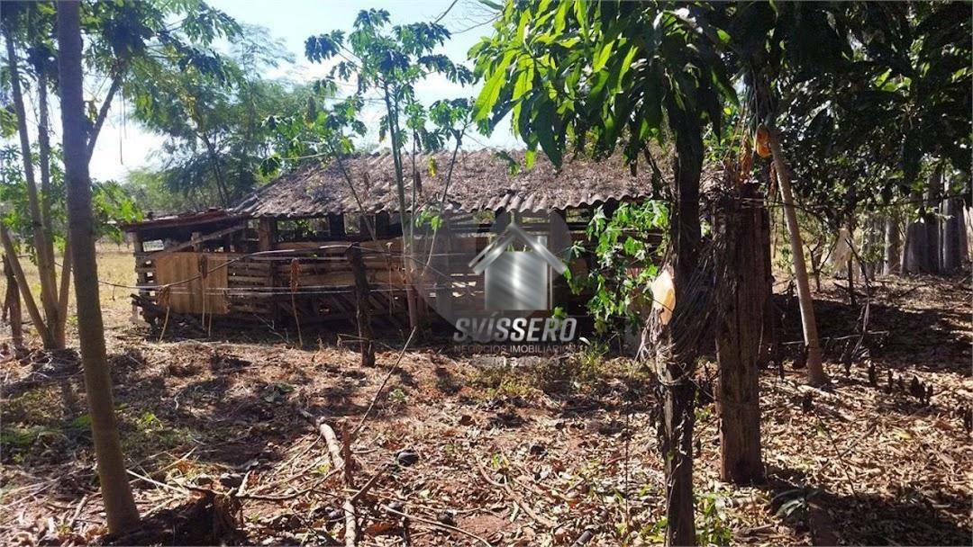 Chácara, 3 quartos, 800 m² - Foto 3