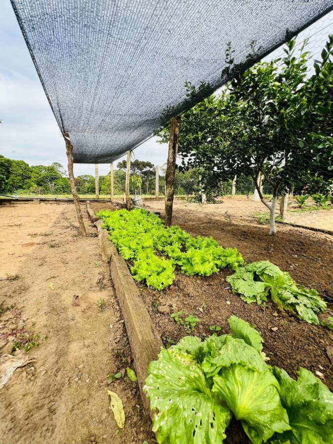 Fazenda à venda, 28000m² - Foto 51