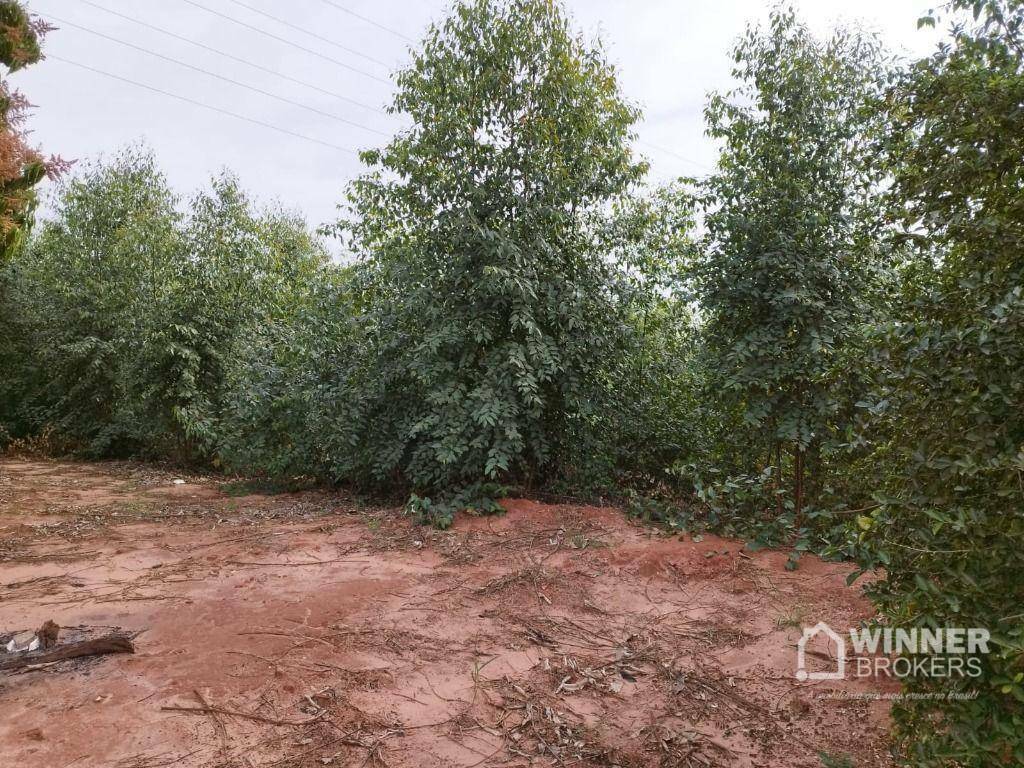 Chácara à venda com 4 quartos, 210m² - Foto 35