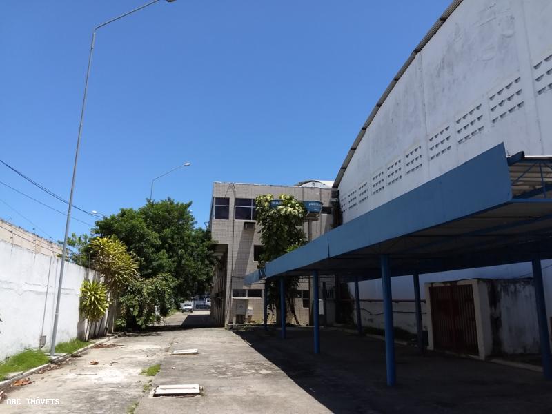 Depósito-Galpão-Armazém para alugar com 1 quarto, 9000m² - Foto 3